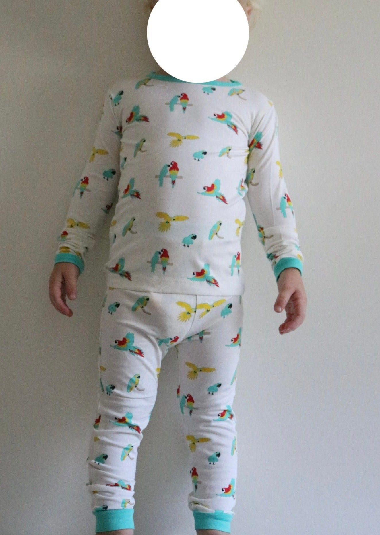 Long Sleeve Toddler Pjs