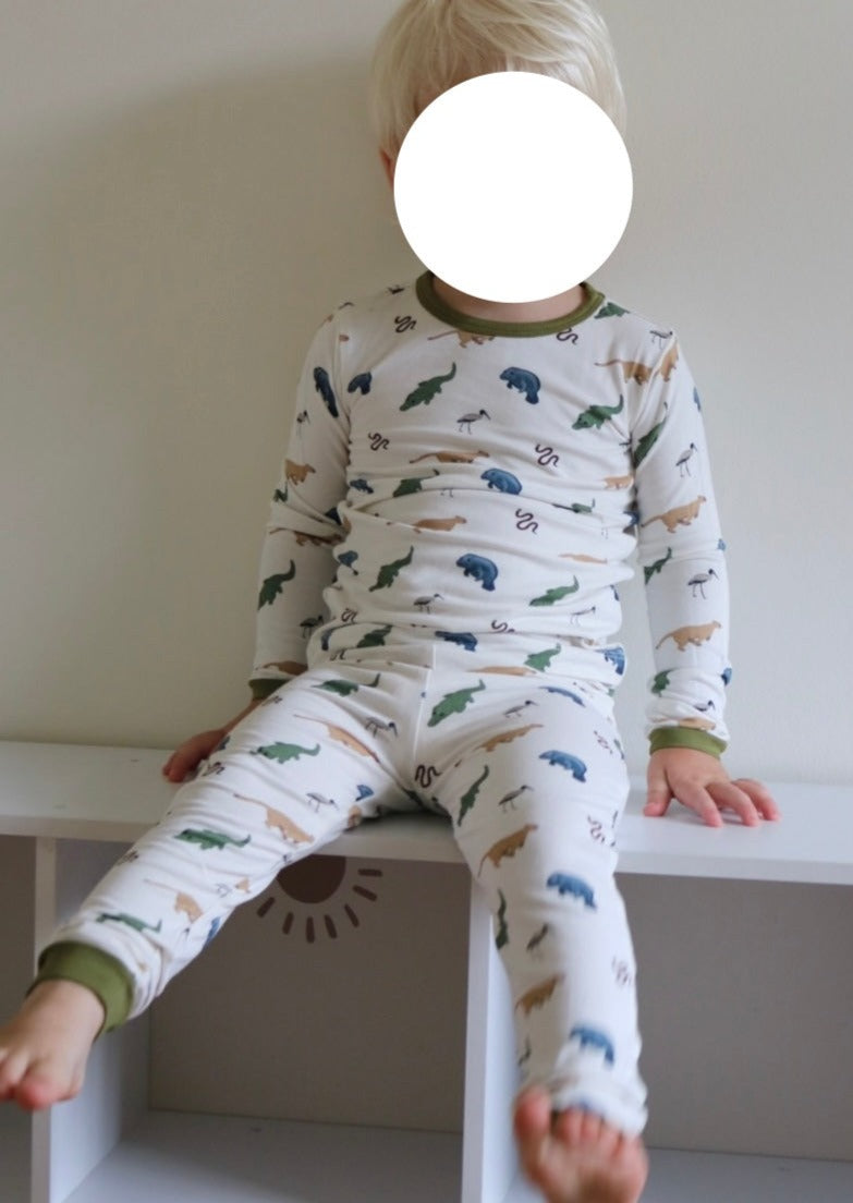 Long Sleeve Toddler Pjs