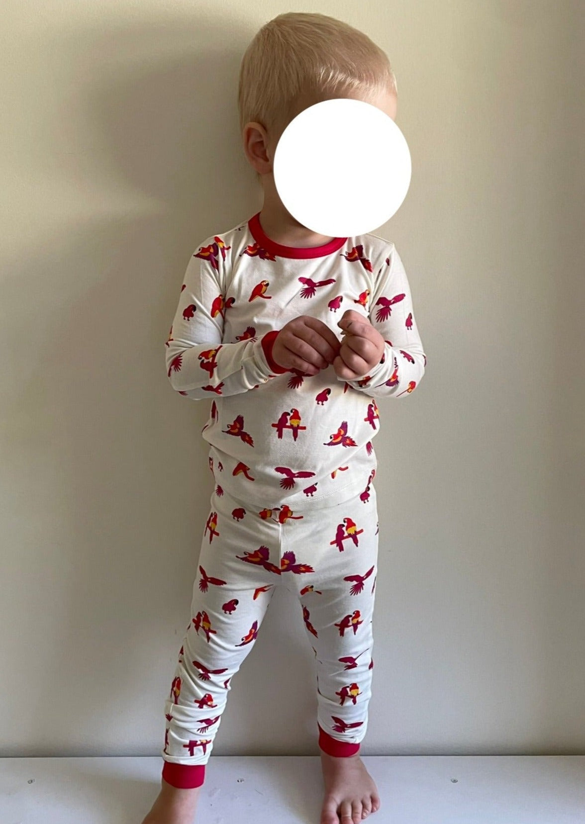 Long Sleeve Toddler Pjs